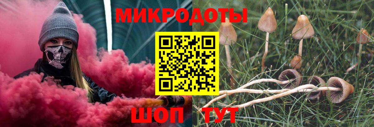 Галлюциногенные грибы мухоморы Биробиджан