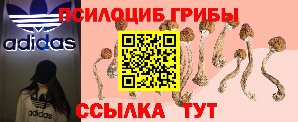 Биробиджан  Галлюциногенные грибы Psilocybine cubensis  Вход с VPN 